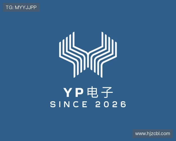 认识YP电子